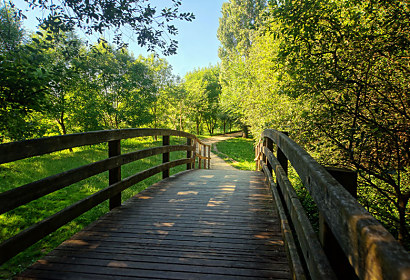 Fototapeta Drevený most v parku 24780